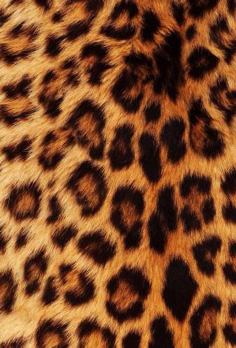 Animal, Cheetah  Leopard, Design, Print, Phone Wallpaper