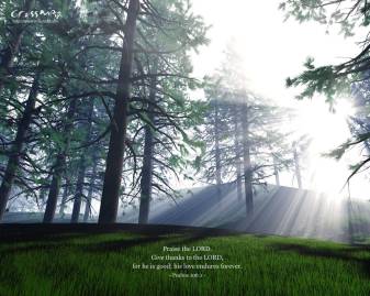Forest, Christian image Desktop Backgrounds