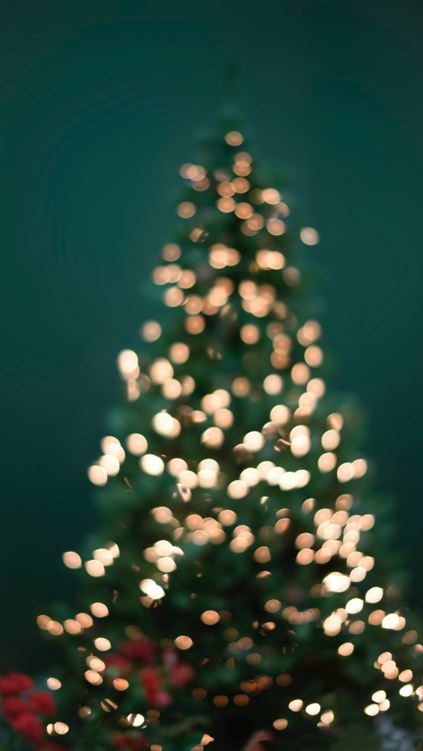 Gorgeous Christmas Aesthetic iPhone Wallpaper Pictures