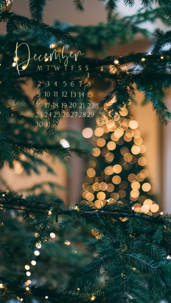 Christmas Trees Wallpaper hd Phone