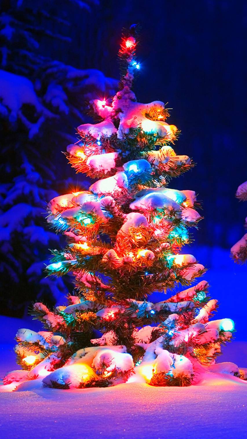 Christmas, Tree, Colorful, Noel, Wallpaper, iPhone