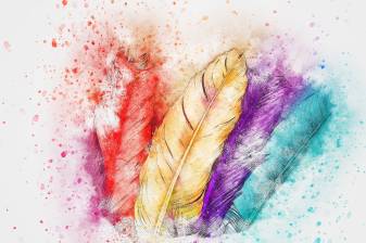 Colorful Feather Bird Anmal Wallpaper