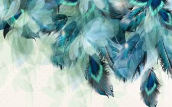 Colorful Blue Feather Picture for Desktop