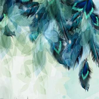 Colorful Feather Mural Wallpaper full hd