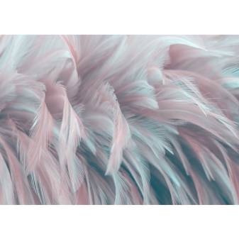 Colorful Feather image for iPad