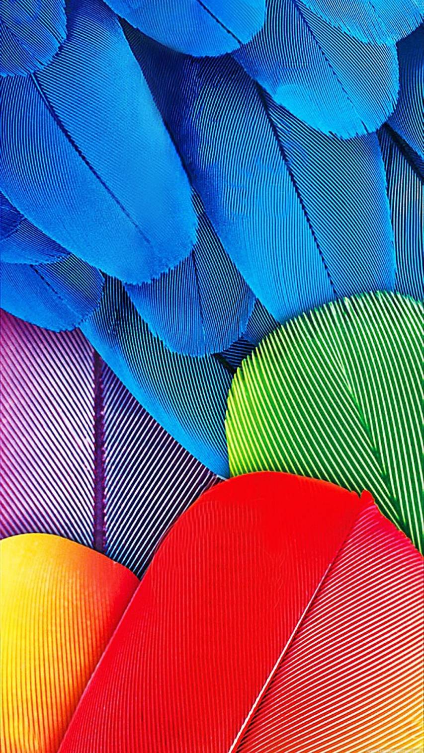 Amazing Colorful Feather Wallpaper for iPhone
