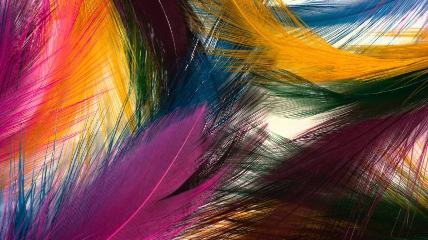 Desktop Colorful Feathers Picture