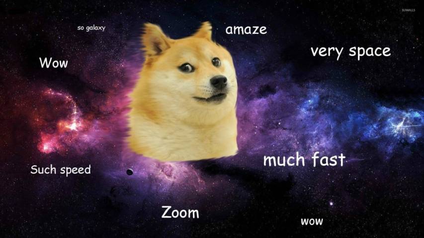 Wallpaper of Doge Picture