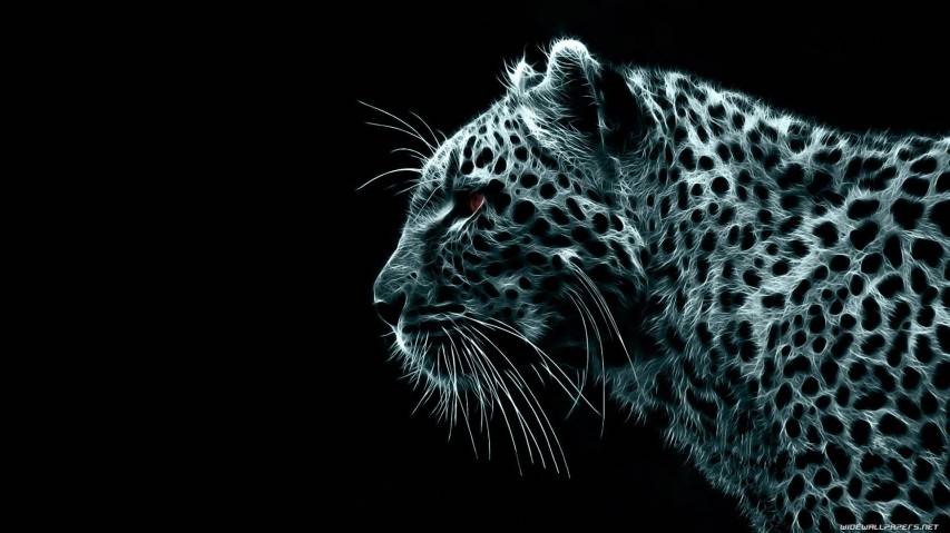 Cool HD animal leopard Wallpaper