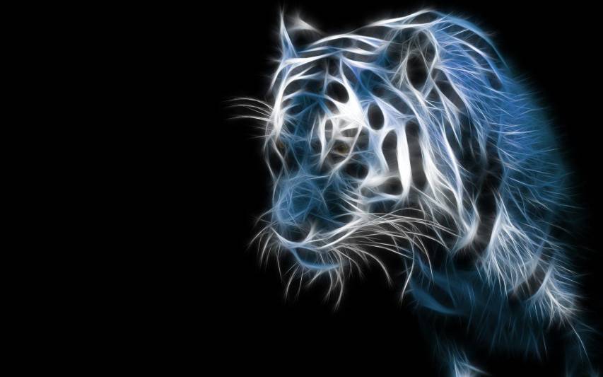 Be Ahead of the Game with Latest Cool HD Tiger Wallpaper