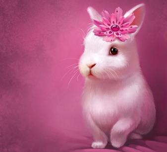 Super Cute Bunny Aesthetic Wallpapers for ipad