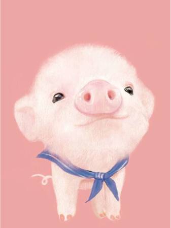 Aesthetic Cute Pig Pictures for Phone
