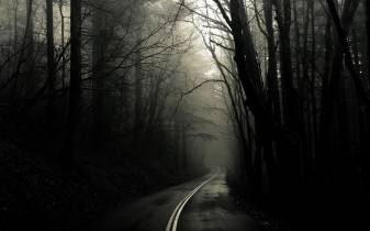 Dark Forest and Roads Desktop Backgrounds