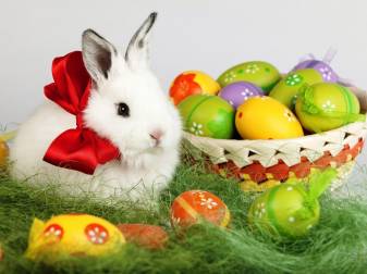 Rabbit, Box, White, Happy Easter Wallpaper