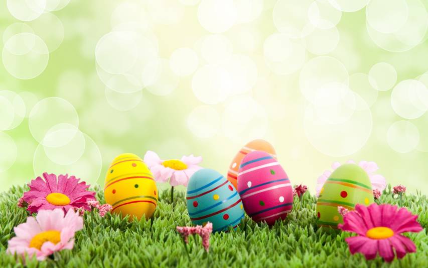 Easter High quality Wallpaper