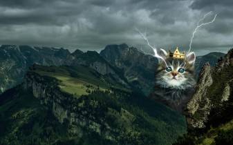 Cat, Warrior, Fantasy, Art, Epic Hd Desktop Wallpapers