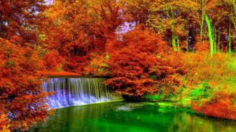 Gorgeous Fall view Wallpapers for Computer