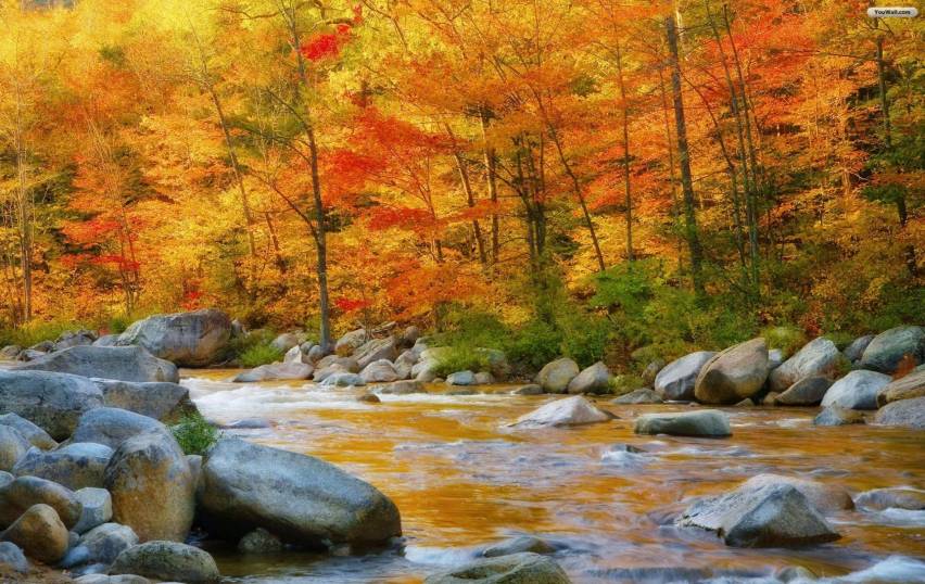 Nature Fall Scenery Wallpapers for hd Desktop
