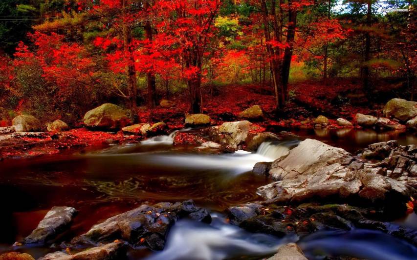 Awesome Fall Wallpapers and Background images for desktop