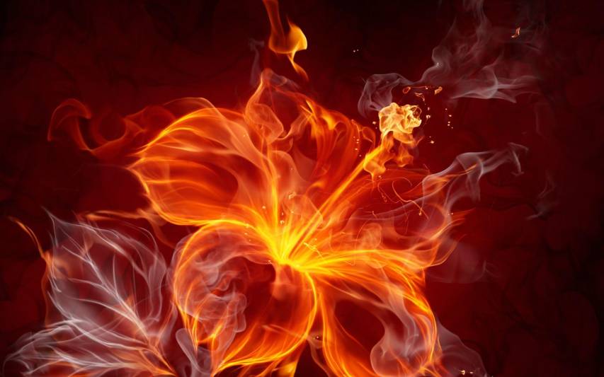 Fire Rose Abstract Wallpapers