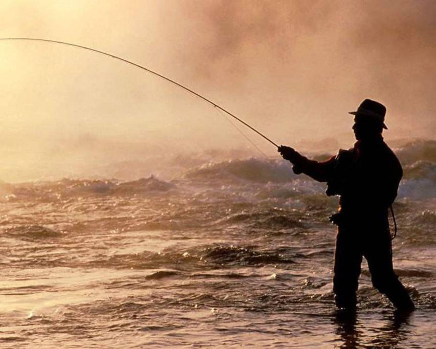 Aesthetic Fishing free download Backgrounds