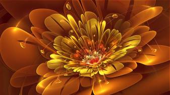 Flower Abstract Backgrounds