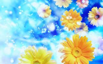 Flower Picture Backgrounds