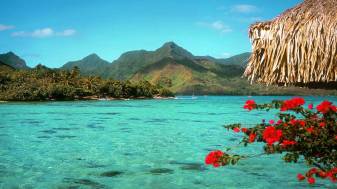 Free Tropical Landscape Desktop Backgrounds