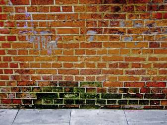 Free Brick Wallpapers and Backgrounds image