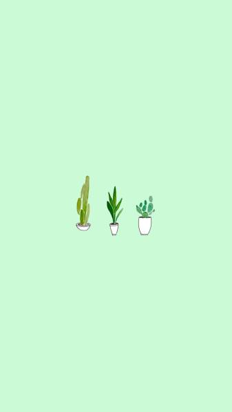 Cute Green Aesthetic iPhone Wallpapers, sage