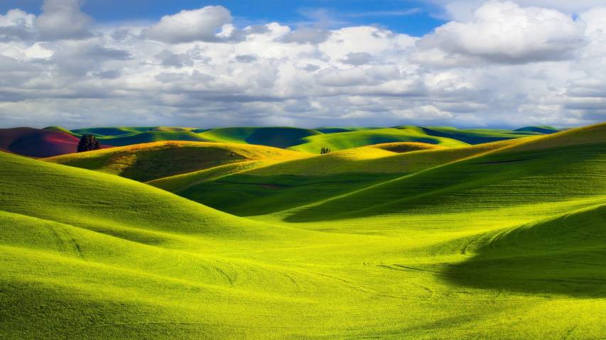 Desktop Green Nature Scenery Wallpaper