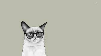 Aesthetic Grumpy Cat hd Desktop Wallpapers