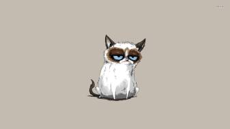 Grumpy Cat Minimal Wallpapers image for Pc