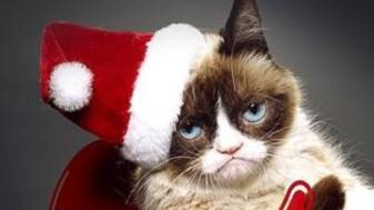Happy Grumpy Cat Christmas Wallpapers high Resulation