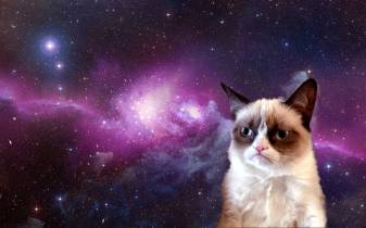 Space Background Grumpy Cat Wallpapers for desktop