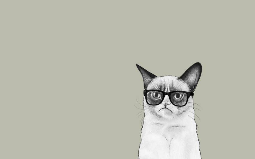 Funny, Minimalist, Grumpy Cat hd Desktop Picture Wallpapers