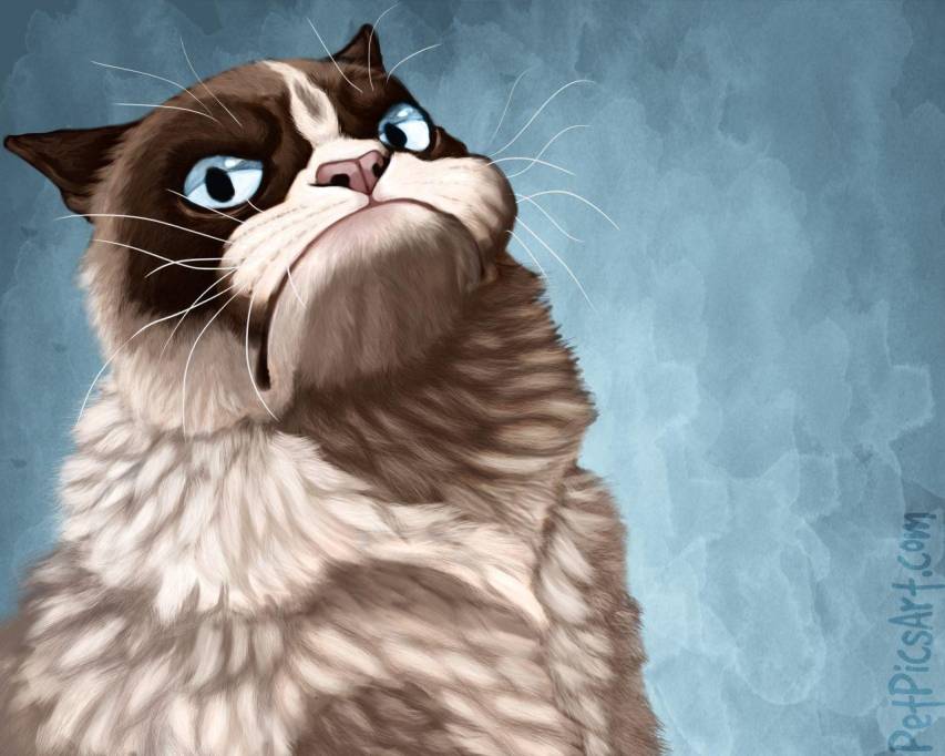 Grumpy Cat Painting Wallpapers image
