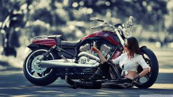 Pictures of Harley Davidson Wallpapers