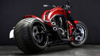 Most Popular Harley Davidson Pictures