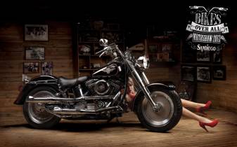 Cool Harley Davidson Pictures