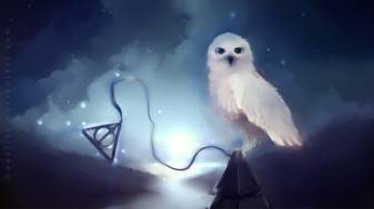 Owl, Anime Harry Potter Wallpapers