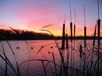 Sunset Duck Hunting Wallpapers free Background
