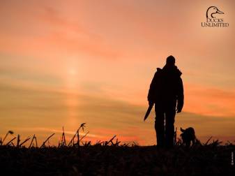 Duck, Hunting Dog images free for Pc