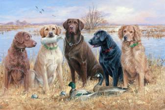 Dogs, Duck Hunting hd Desktop Wallpapers Pic