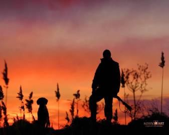 Sunset, Dog, Nature, Hunting Wallpapers for iPad