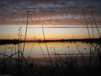 Sunset and Duck Hunting Wallpapers and Background Pictures