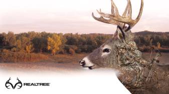 Beautiful Deer Hunting Background