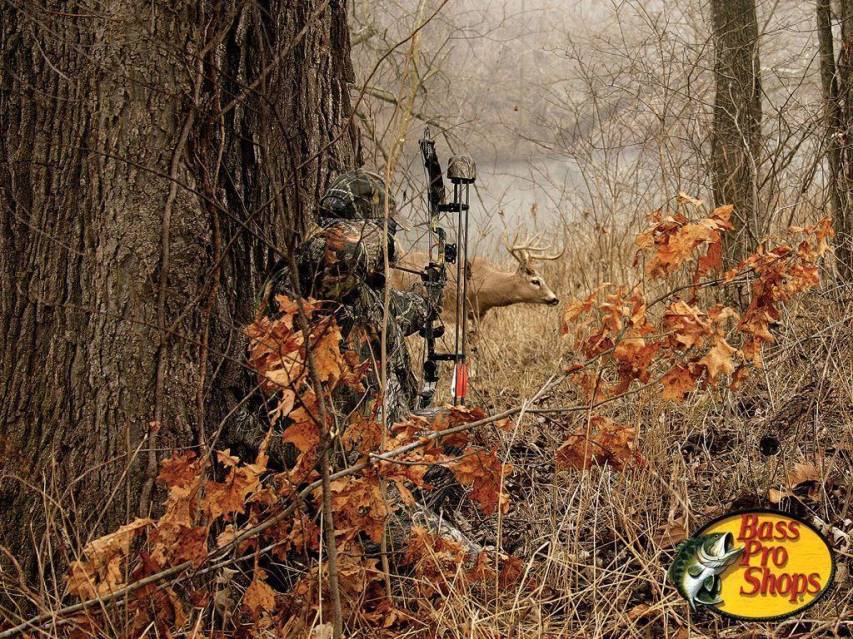Hunting image Wallpapers