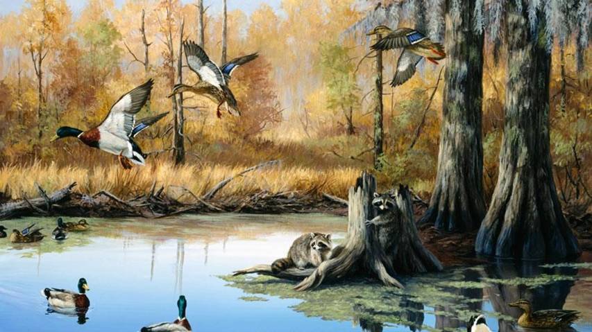 Art, Duck Hunting 1080p Wallpapers and Background