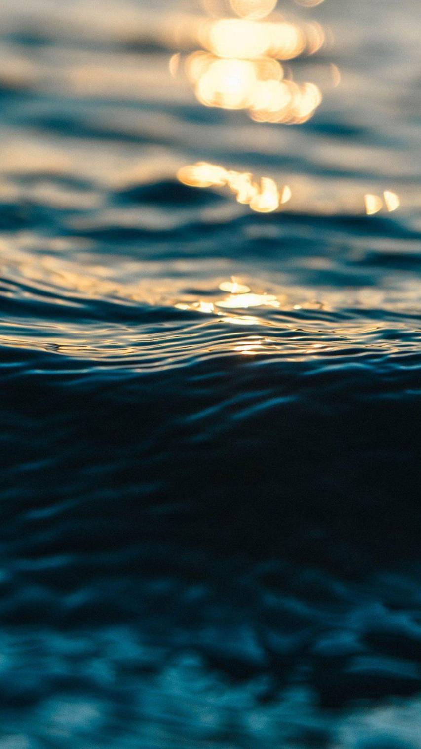 Sunset Sea image Pictures for iPhone 7 Plus